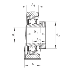 直立式軸承座單元 PASE35-N-FA125, 鑄鐵軸承座，帶偏心鎖圈的外球面球軸承，P 型密封，耐腐蝕保護