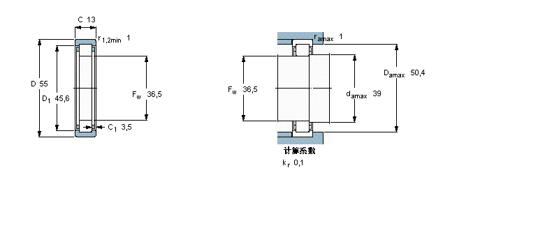 RNU1006樣本圖片